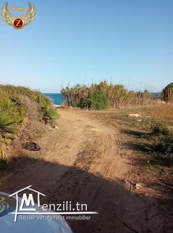 Terrain en 2éme position de la plage à Dar Allouch-kélibia