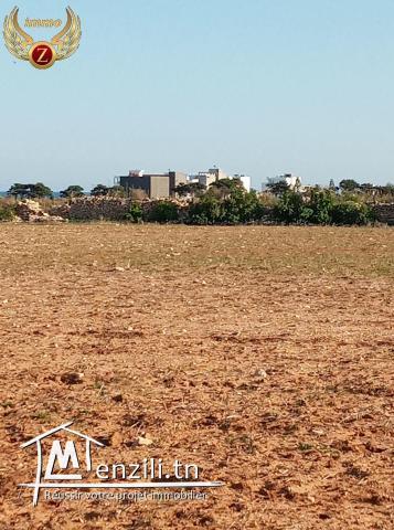 Terrain en 2éme position de la plage à Dar Allouch-kélibia