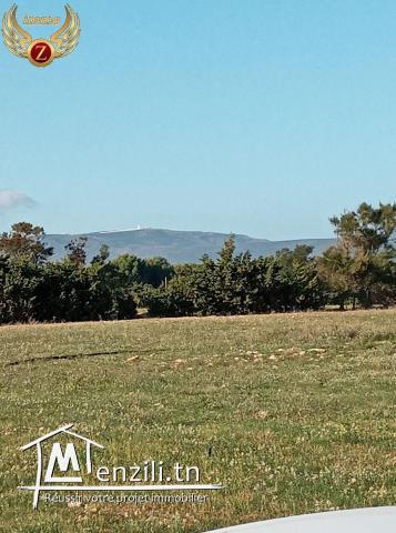Terrain en 2éme position de la plage à Dar Allouch-kélibia