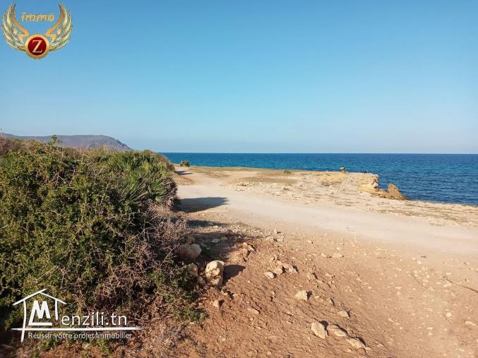 Terrain à 150m de la plage à Kélibia-sidi mansour