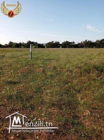 Terrain à 150m de la plage à Kélibia-sidi mansour