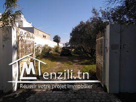 Terrain à vendre Collé à la zone touristique de Yasmine hammamet .