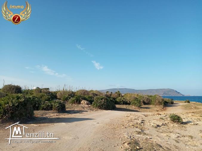 Terrain 2éme position de la plage à Dar Allouch