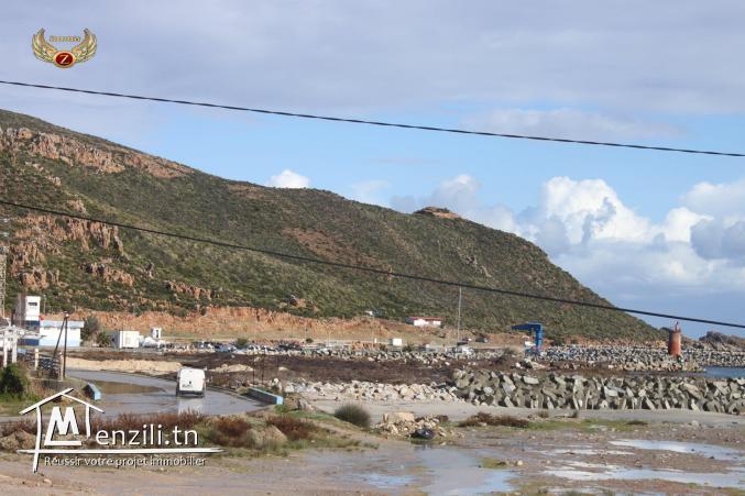 3 maisons et un studio à Hawaria-Kélibia