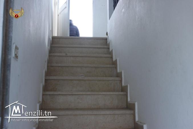 3 maisons et un studio à Hawaria-Kélibia