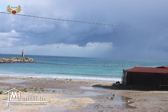 3 maisons et un studio à Hawaria-Kélibia