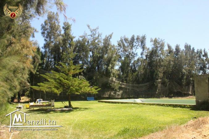 Senya à Kélibia à ne pas rater!! Appelez le: 90611201