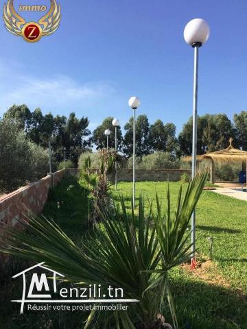 Senya à ElHawariya à ne pas rater!!CONTACTER: 90611201