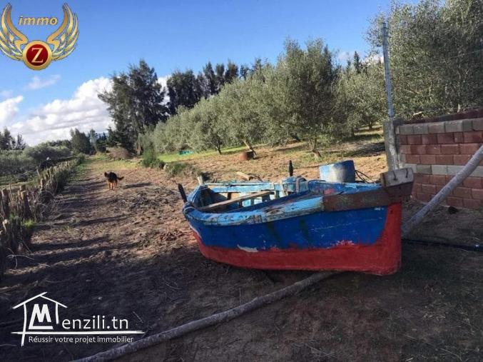 Senya à ElHawariya à ne pas rater!!CONTACTER: 90611201