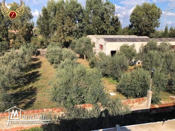 Senya à ElHawariya à ne pas rater!!CONTACTER: 90611201