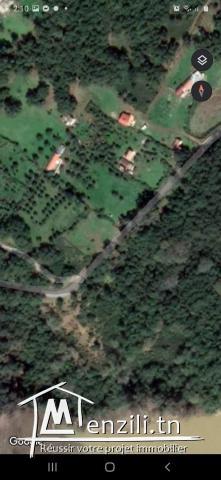 أرض للبيع بها منزل