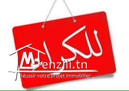 local commercial a louer