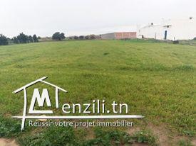 ارض للبيع مساحتها 1700 م مربع