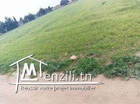 ارض للبيع مساحتها 1700 م مربع