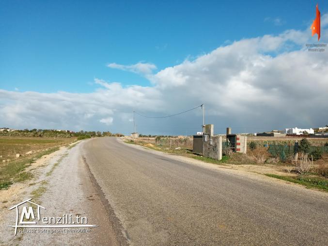 A vendre terrain agricole à Kelibia