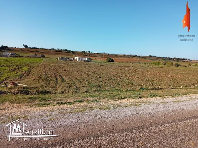 A vendre terrain agricole à Kelibia