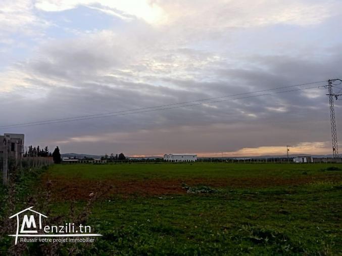 Terrain nu de 1000m2 à vendre à Hmaiem Manouba 