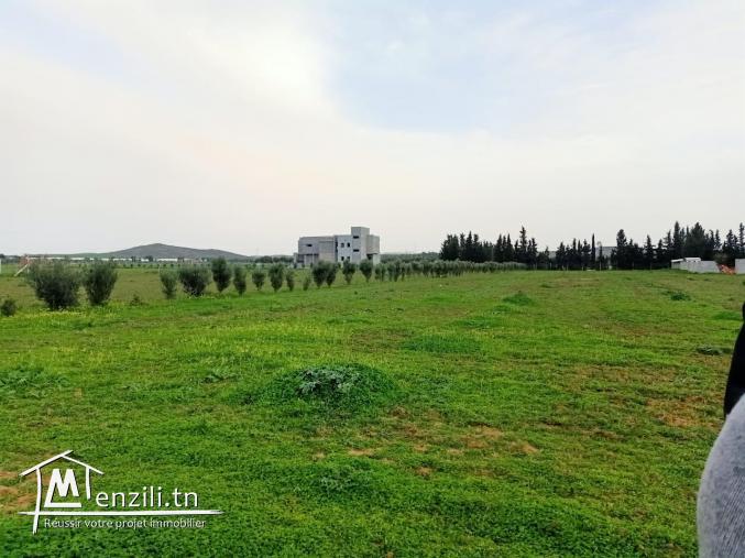 Terrain nu de 1000m2 à vendre à Hmaiem Manouba 