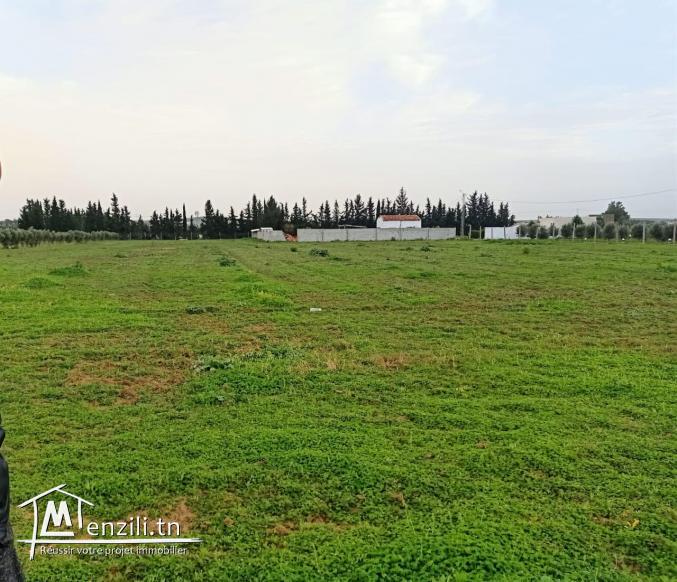Terrain nu de 1000m2 à vendre à Hmaiem Manouba 