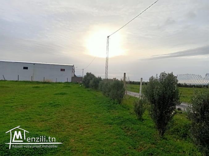Terrain nu de 1000m2 à vendre à Hmaiem Manouba 