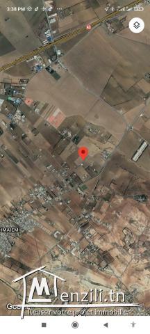 Terrain nu de 1000m2 à vendre à Hmaiem Manouba 