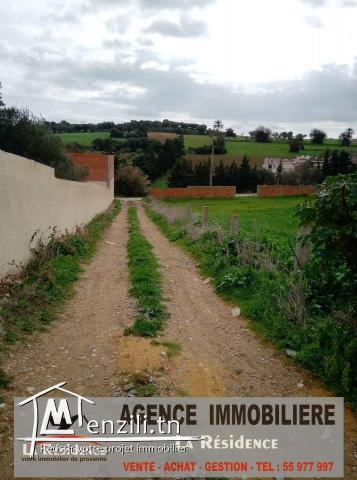 Réf T91: ارض للبيع فى طريق بنى مسلم