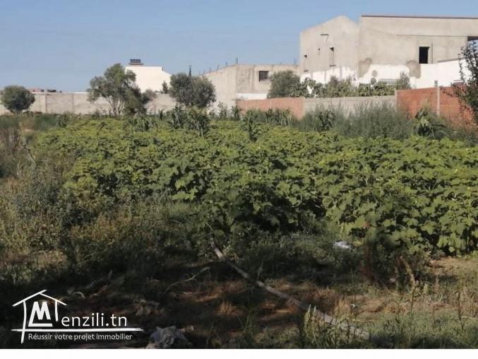 Terrain a vendre a boumhel el bassatine a coté de azur city