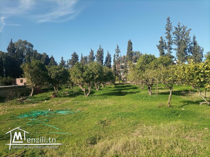 A vendre un terrain occasion a ne pas rater