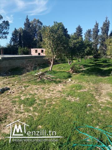 A vendre un terrain occasion a ne pas rater