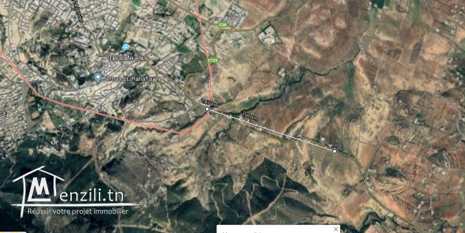 Bonne occasion Un hectare 80 olivier à 3 min de zaghouan ville, sur route principale de zriba