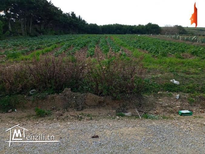 أرض في تامزرات_قليبية بموقع ممتاز وقريبة من البحر