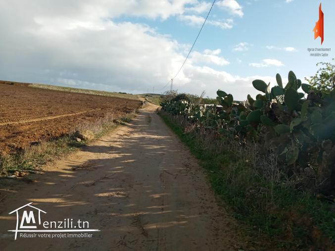 terrain à vendre de 6000 m2 à Tamozrat Kélibia