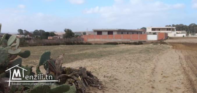  للبيع بمنطقة بوزارية - بنزرت الجنوبية 