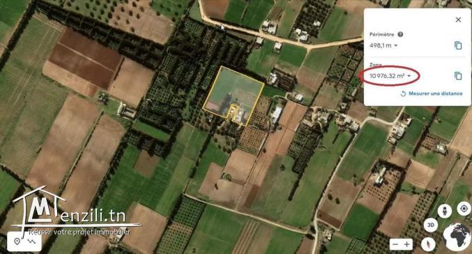 ارض فلاحية للبيع