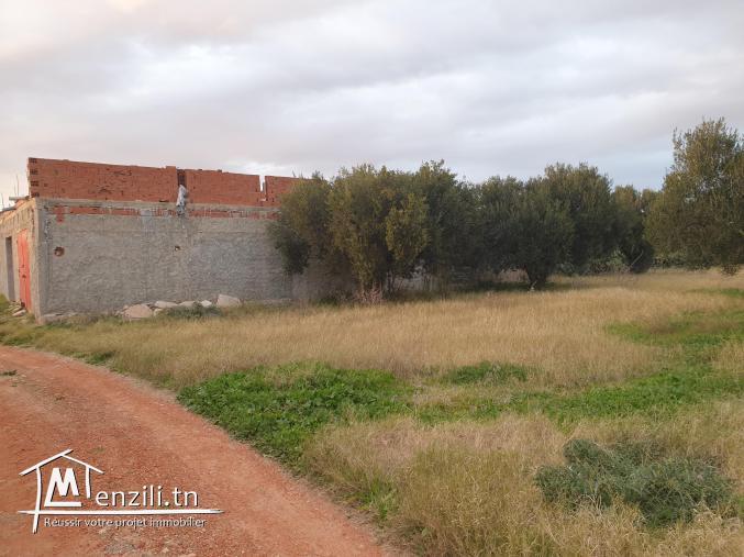 فرصة أرض صالحة للبناء ذات ملكية فردية