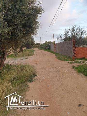 فرصة أرض صالحة للبناء ذات ملكية فردية