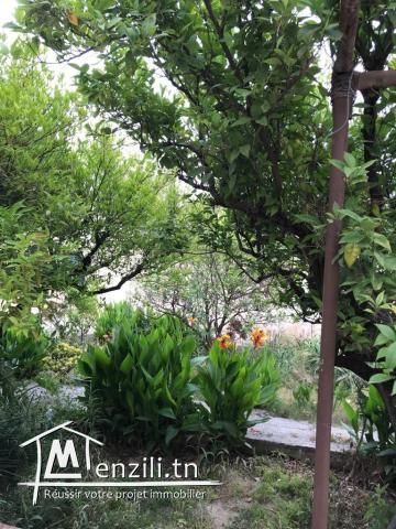 A SAISIR VILLA A RADES MAXULA S+4