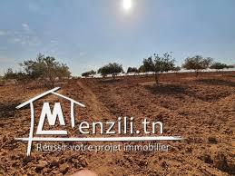 Terrain de 20 minutes au centre ville