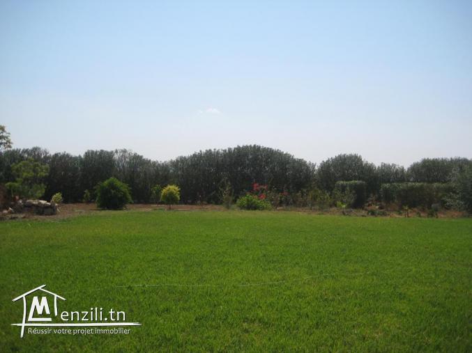 grande maison a borj touil