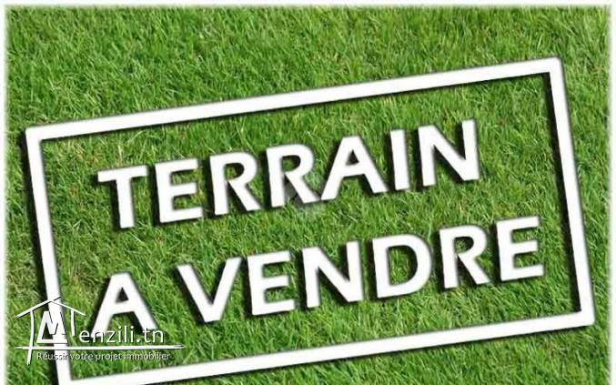 vielle bâtisse