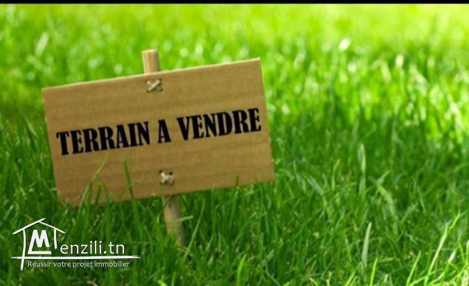 Terrain à vendre de 358 m2