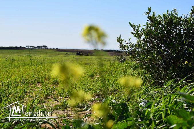 كلمني على :29232582