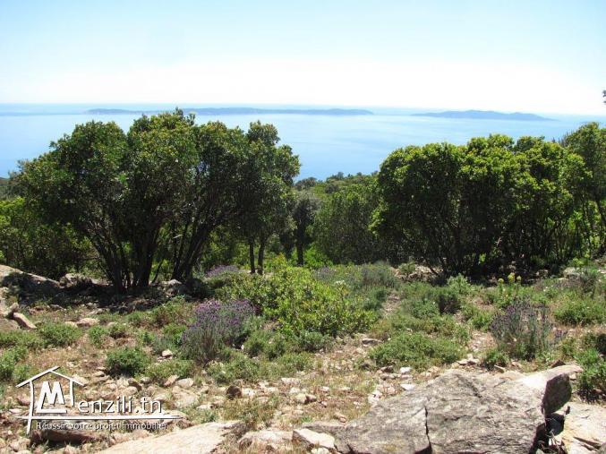 أرض تبعد 5 كلم  على قليبية