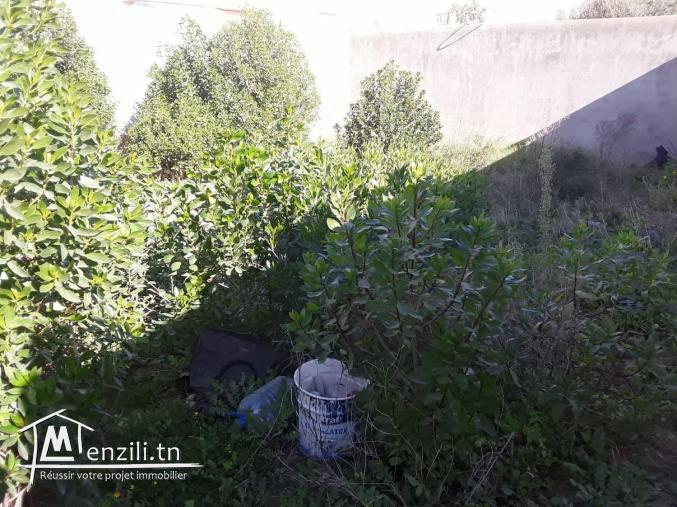 Terrain 400 m Hammamet Nord bonne affaire