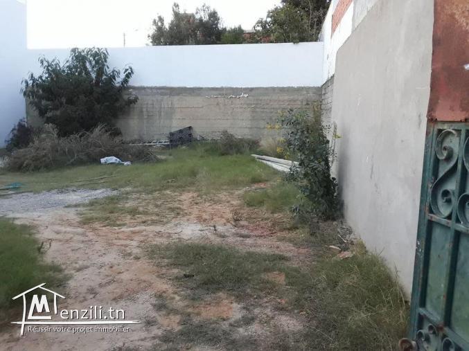 Terrain 300m Hammamet Nord Carrefour