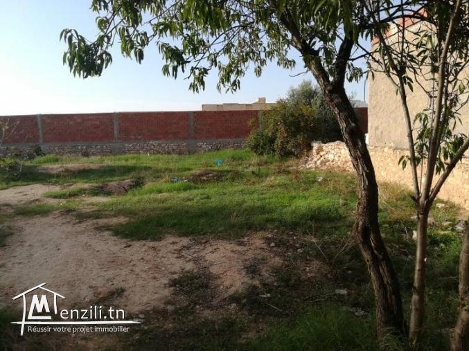terrain a vendre de 650 m2 a sfax