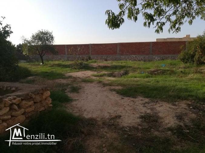 terrain a vendre de 650 m2 a sfax