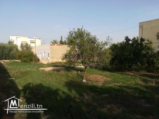 terrain a vendre de 650 m2 a sfax