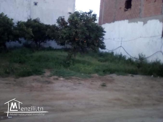 Terrain viabilisé Hammamet 231m