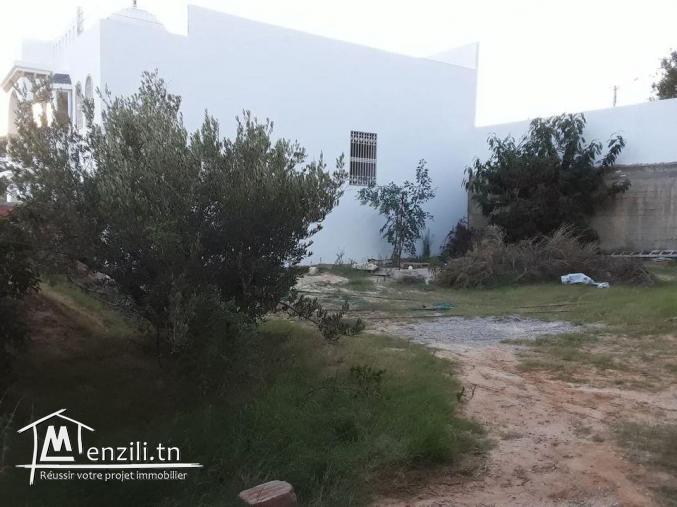 Lot 300m Hammamet Nord bonne affaire